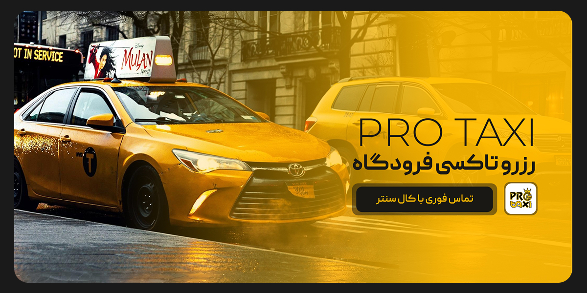 Pro Taxi Banner 06