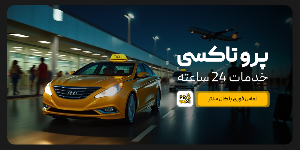 Pro Taxi Banner